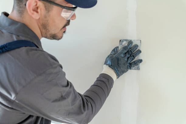 Best Water-Damaged Drywall Repair  in Mount Sterling, IL